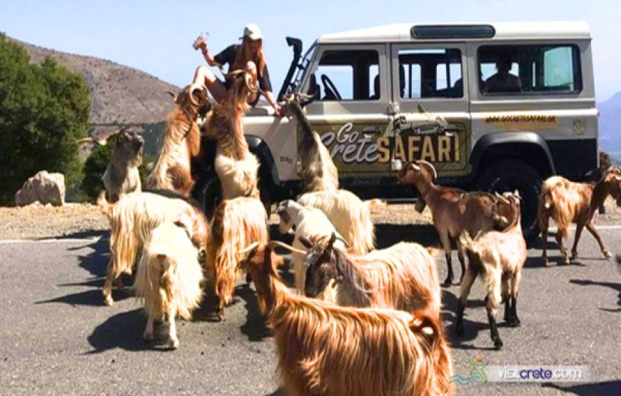 Cretan Safari LandRover (with driver)