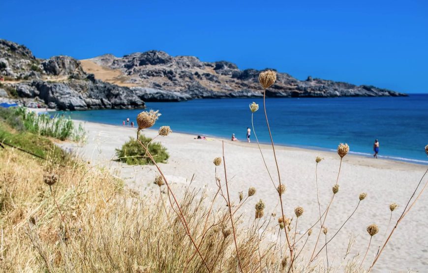 Preveli Palm Beach-Kourtaliotiko-Damnoni Beach-Plakias