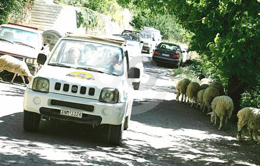 Jeep Safari Driving (Suzuki Jimny)
