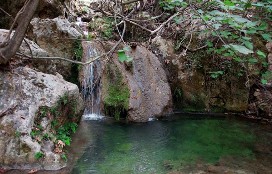 Myli Gorge eBike Tour (3h)