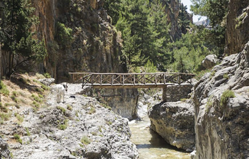 Samaria Gorge