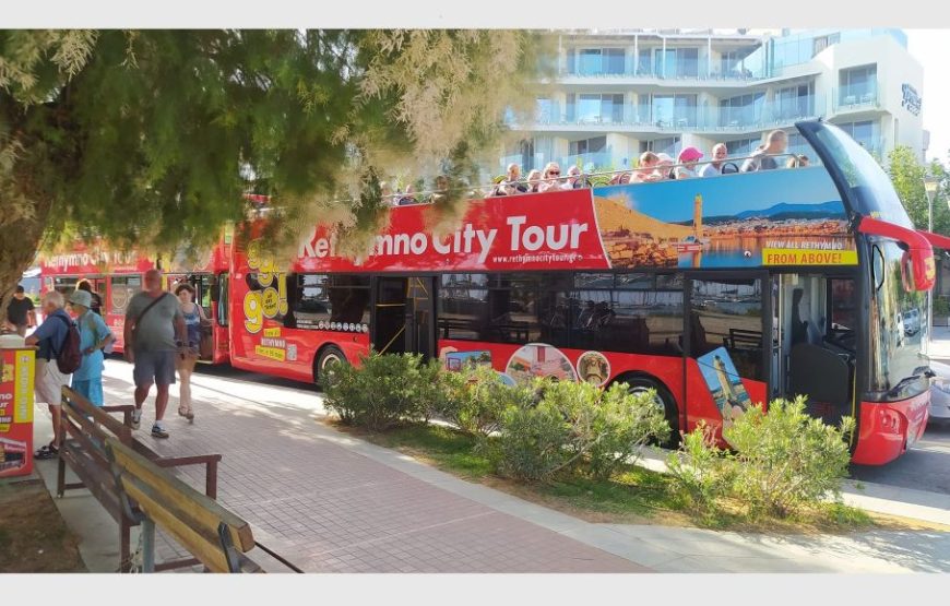 Red Bus City Tour