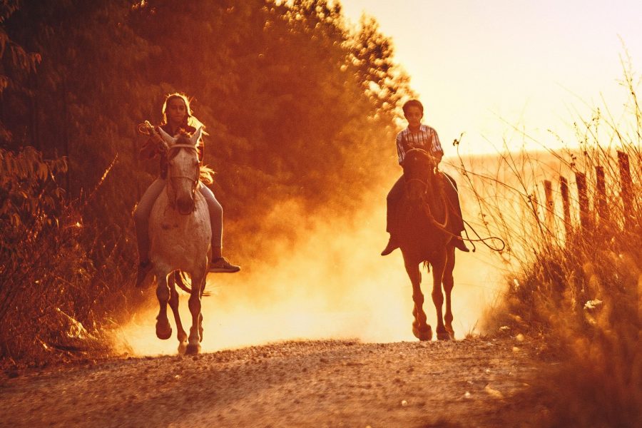 Sunset Horse Riding