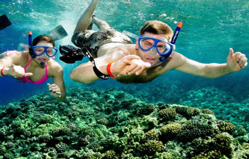 Discover Snorkelling For Beginners (Ages 6+yrs)