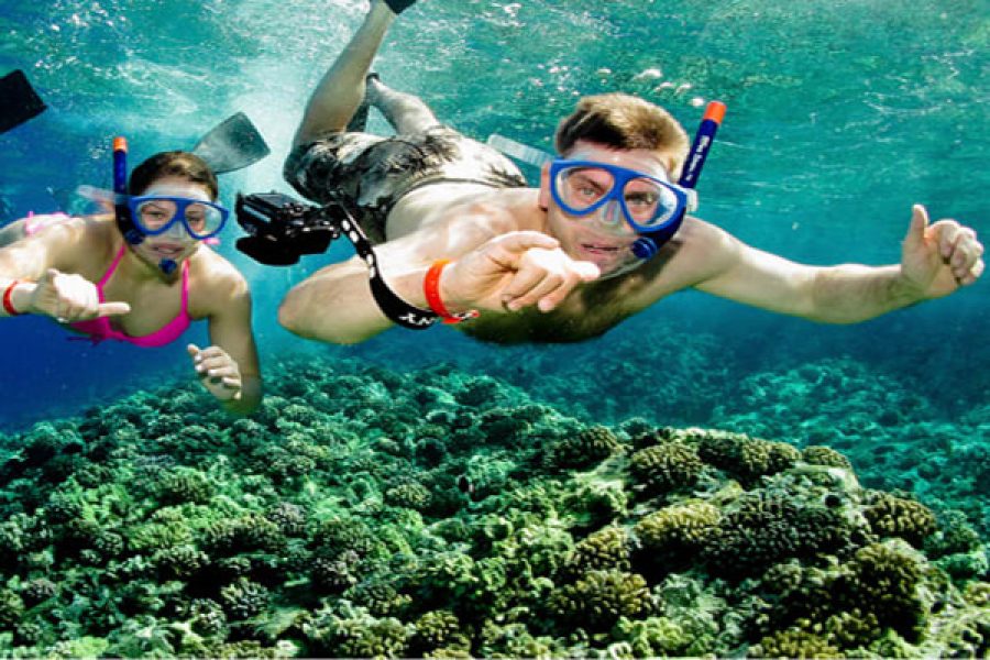 Discover Snorkelling For Beginners (Ages 6+yrs)