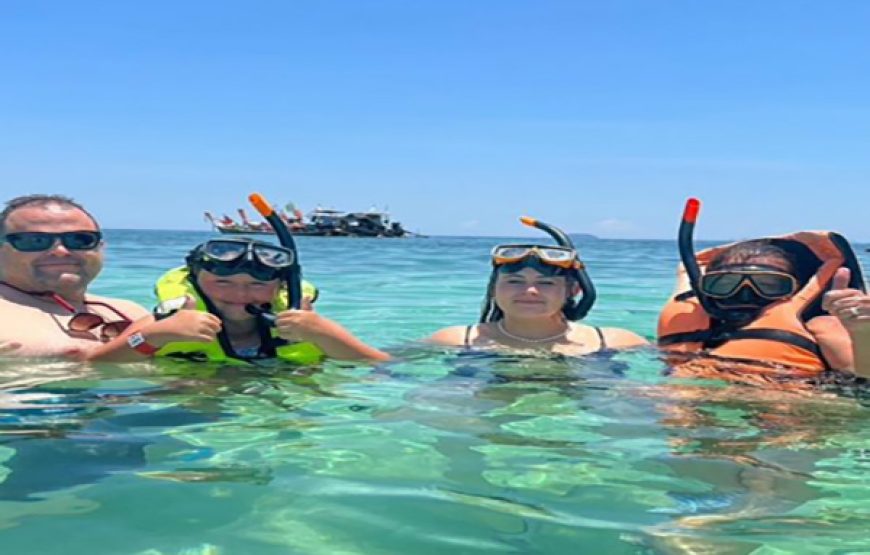 Discover Snorkelling For Beginners (Ages 6+yrs)