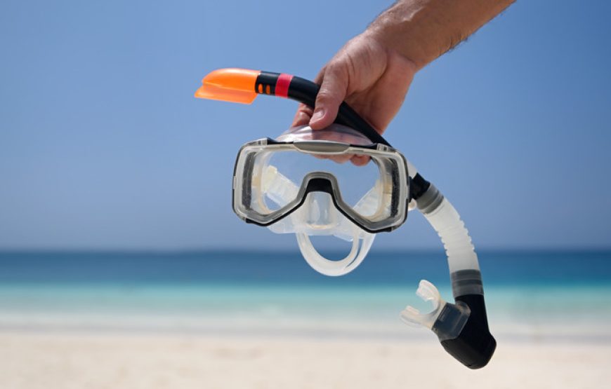 Discover Snorkelling For Beginners (Ages 6+yrs)