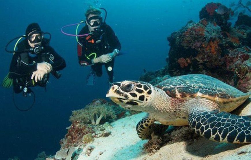 Scuba Diving (Beginners ages 10yrs+)