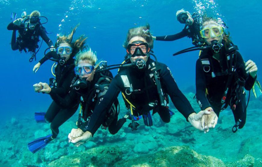 Scuba Diving (Beginners ages 10yrs+)