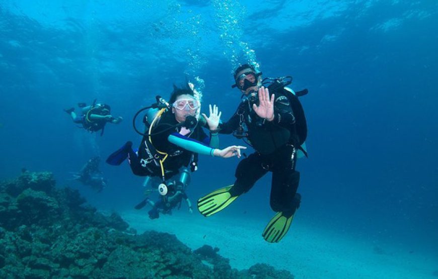 Scuba Diving Courses (Licensed PADI 12m/18m)