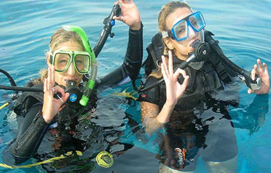 Scuba Diving (Beginners ages 10yrs+)