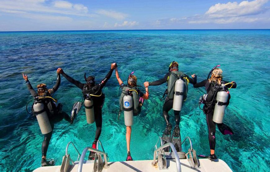 Scuba Diving (Beginners ages 10yrs+)