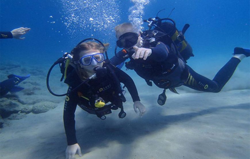 Scuba Diving (Beginners ages 10yrs+)