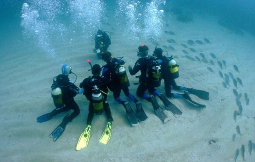 Scuba Diving (Beginners ages 10yrs+)