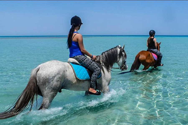 Sea Horse Riding