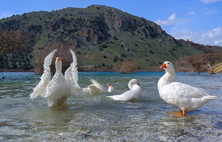 Lake Kournas-Argyroupoli