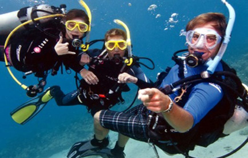Scuba Diving (Beginners ages 10yrs+)
