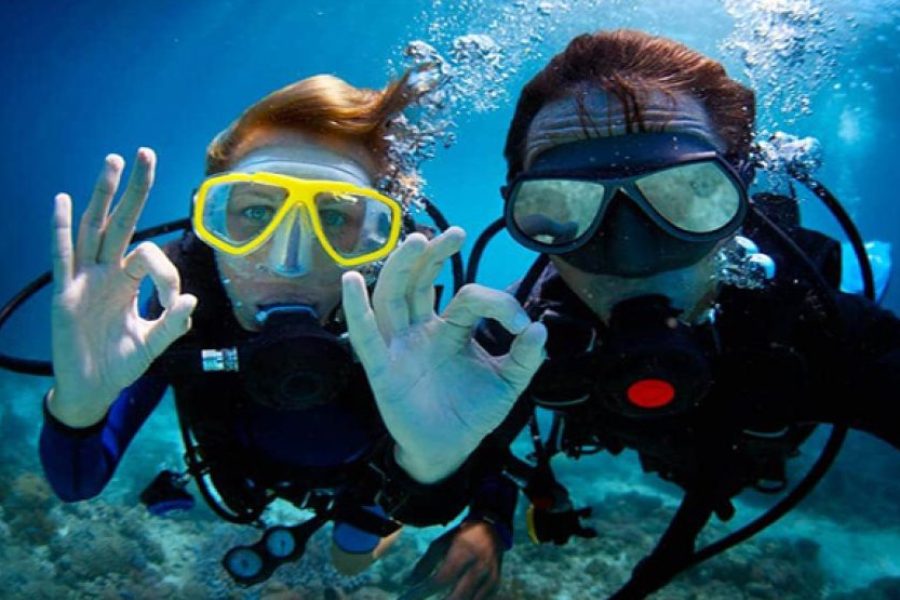 Scuba Diving (Beginners ages 10yrs+)