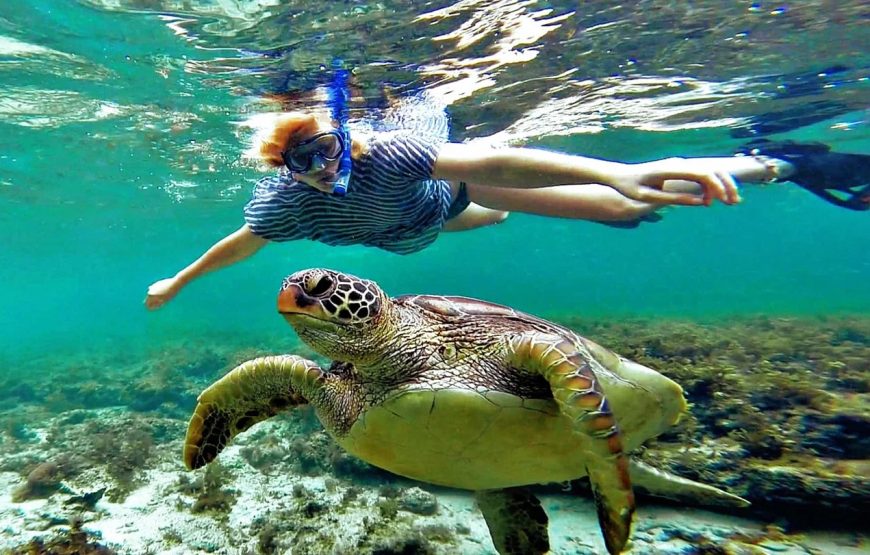 Snorkelling By Boat (Ages 6+yrs)