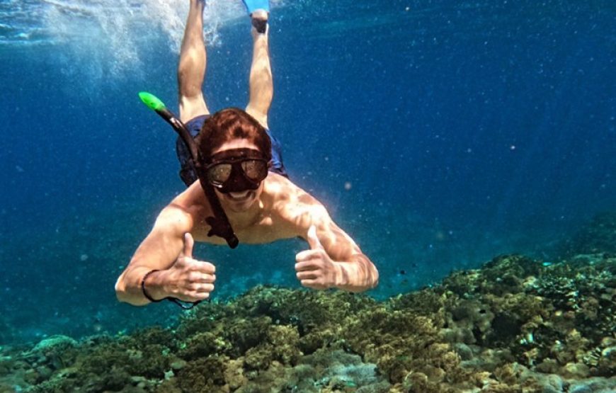 Snorkelling By Boat (Ages 6+yrs)