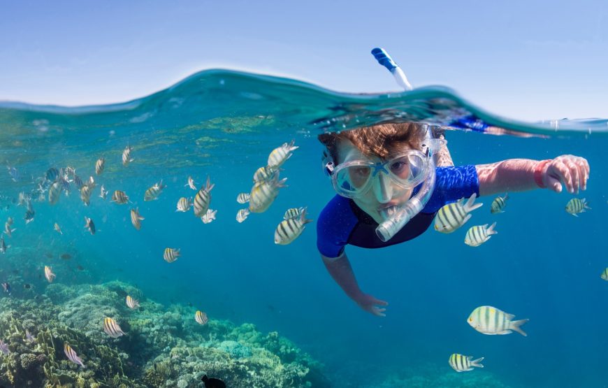 Snorkelling By Boat (Ages 6+yrs)