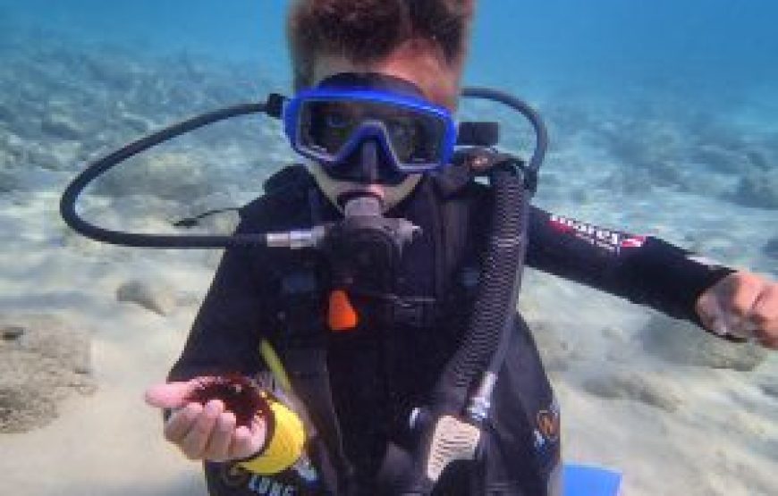 Bubblemaker (Ages 8-10yrs)