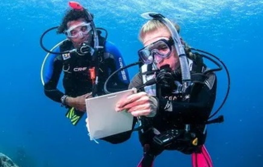 PADI Open Water Diver 18meters (Full Certification)