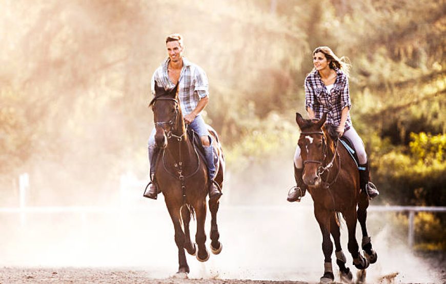 Zen Ride – Horse Riding